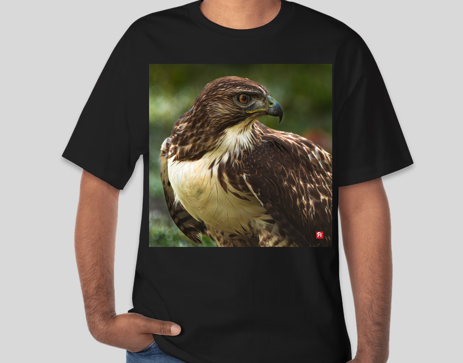 RTH T-shirt