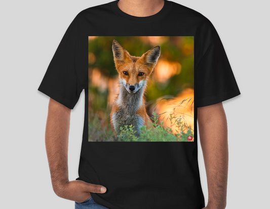 Wild Gaze T-shirt