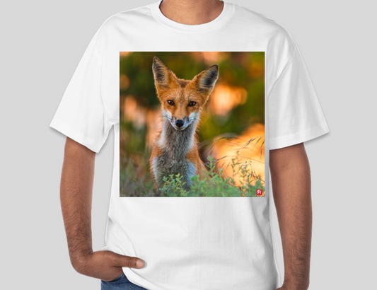 Wild Gaze T-shirt