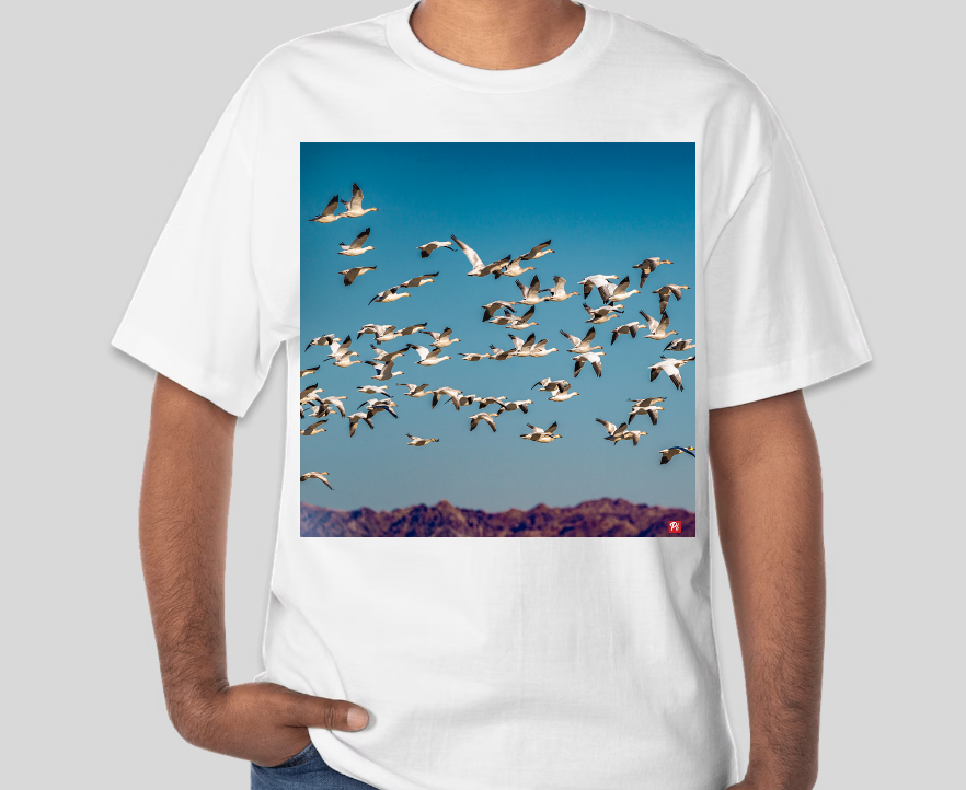 High Passage T-shirt