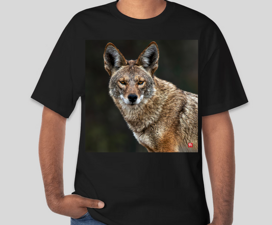 Urban Phantom T-shirt