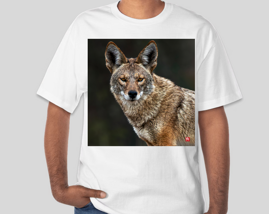 Urban Phantom T-shirt