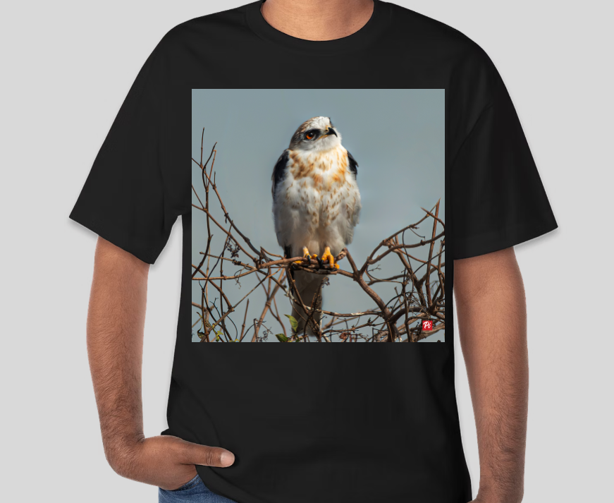 Sky Sentinel T-shirt