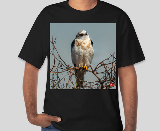 Sky Sentinel T-shirt